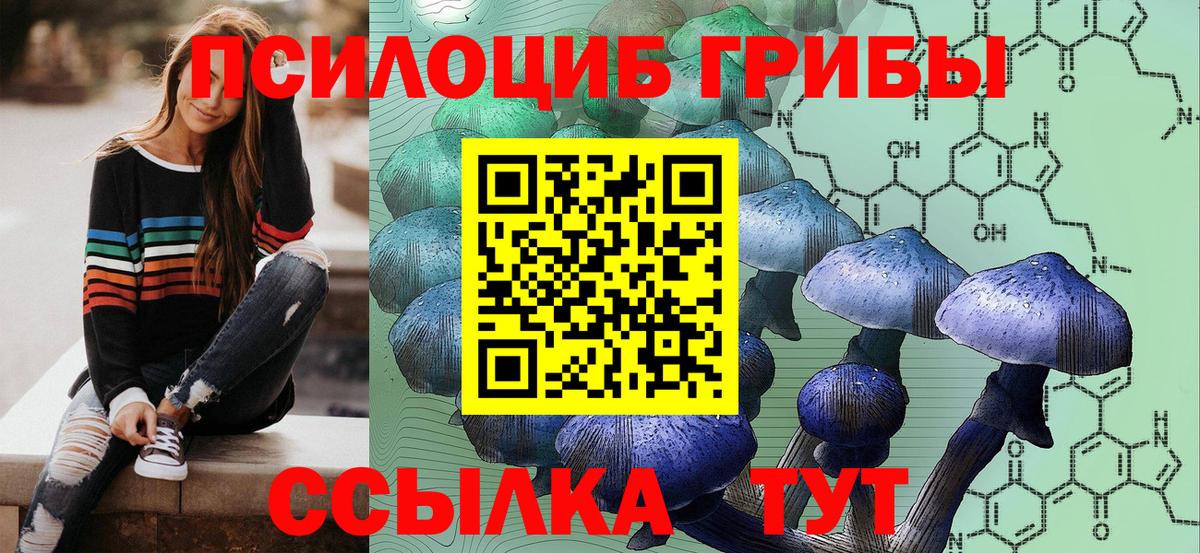 Галлюциногенные грибы Psilocybine cubensis Брянск