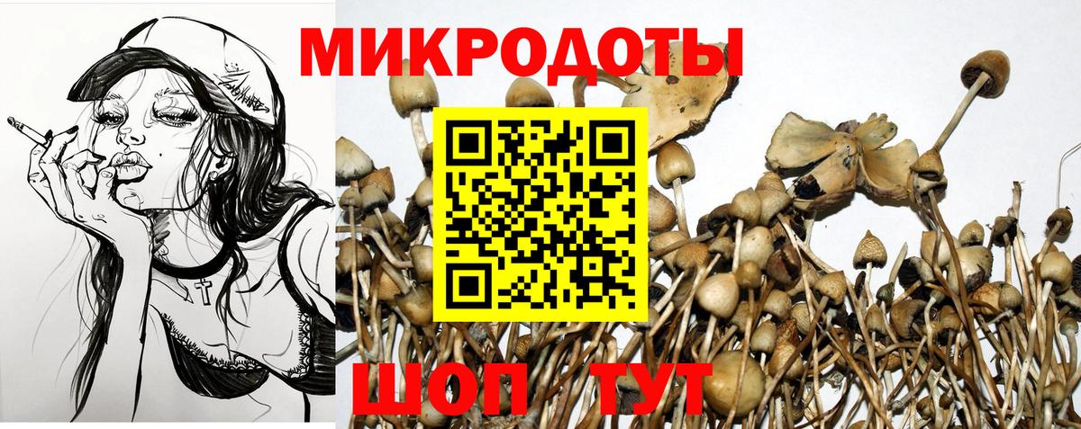 Галлюциногенные грибы ЛСД  Вход с VPN  Брянск  Галлюциногенные грибы Magic Shrooms 